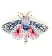 Hubbard's Small Silk Moth Brooch