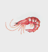 True Shrimp Brooch