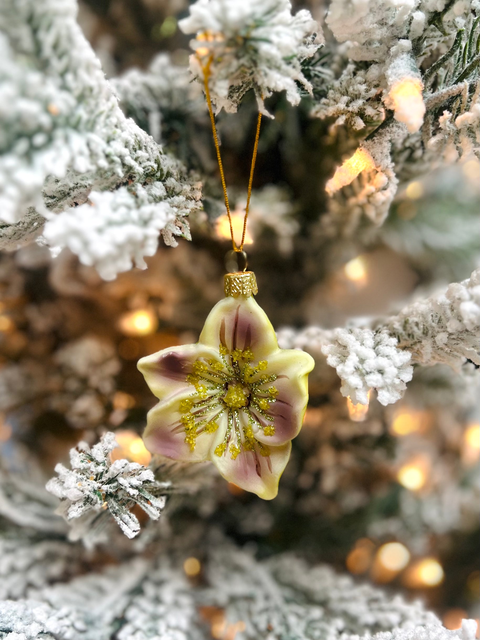 Helleborus Ornament