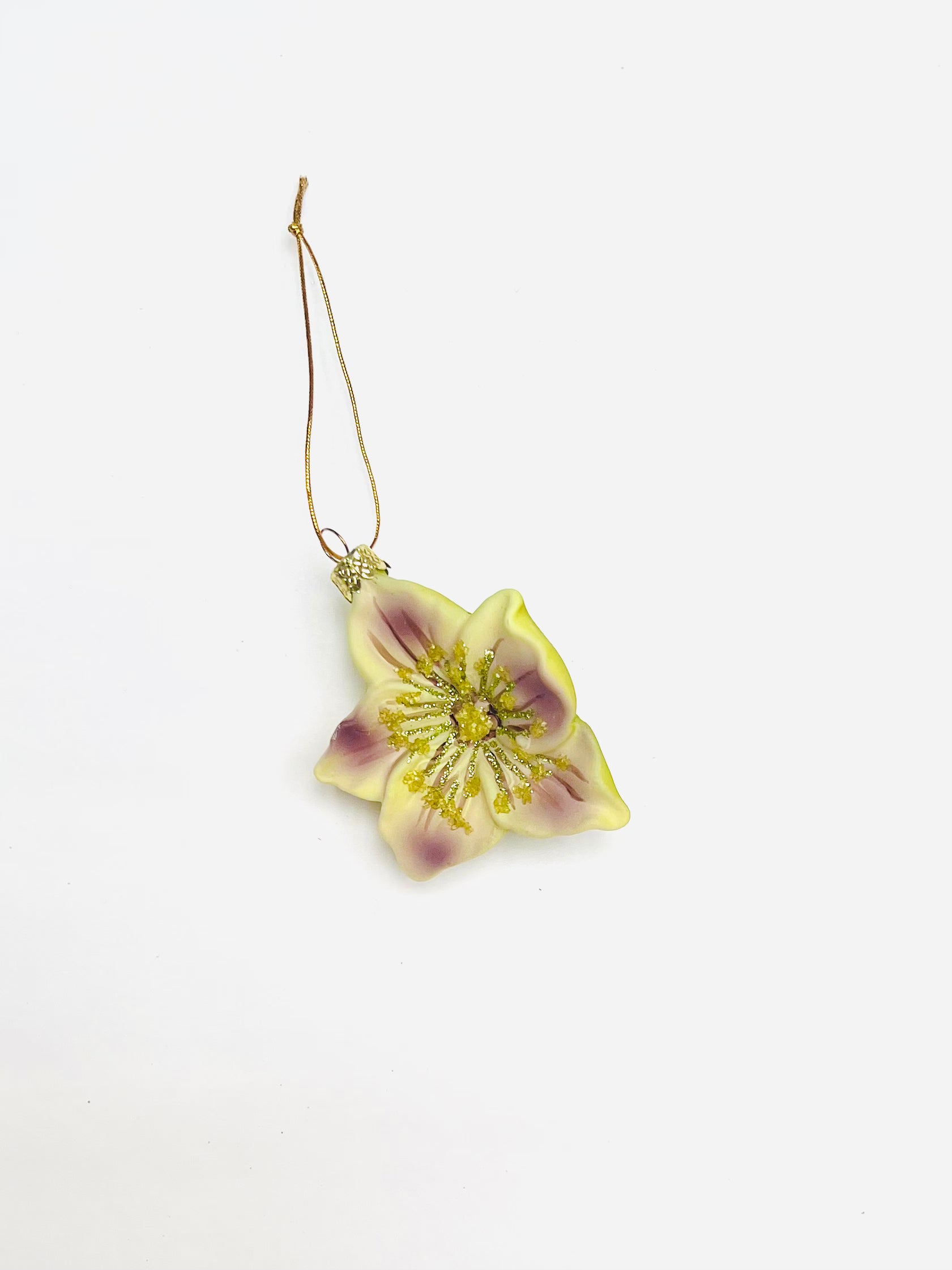 Helleborus Ornament