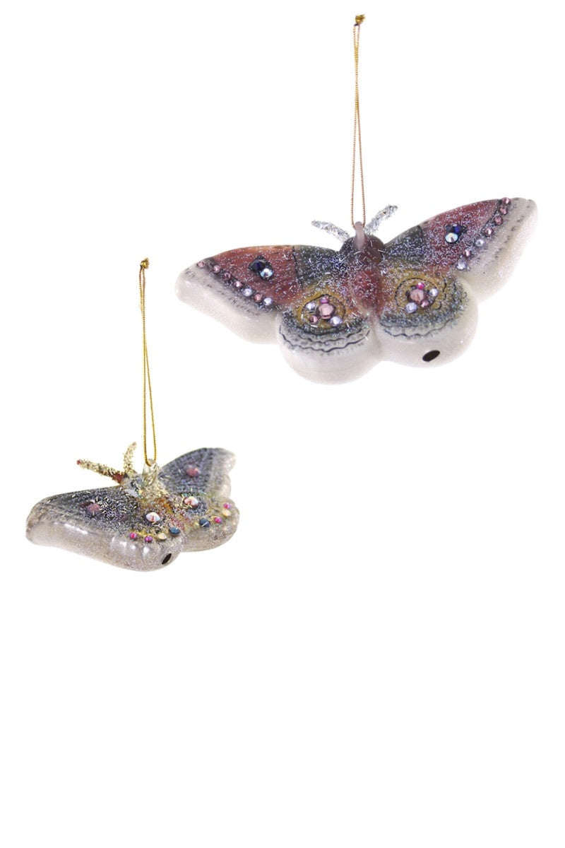 Frosted Moth Ornament