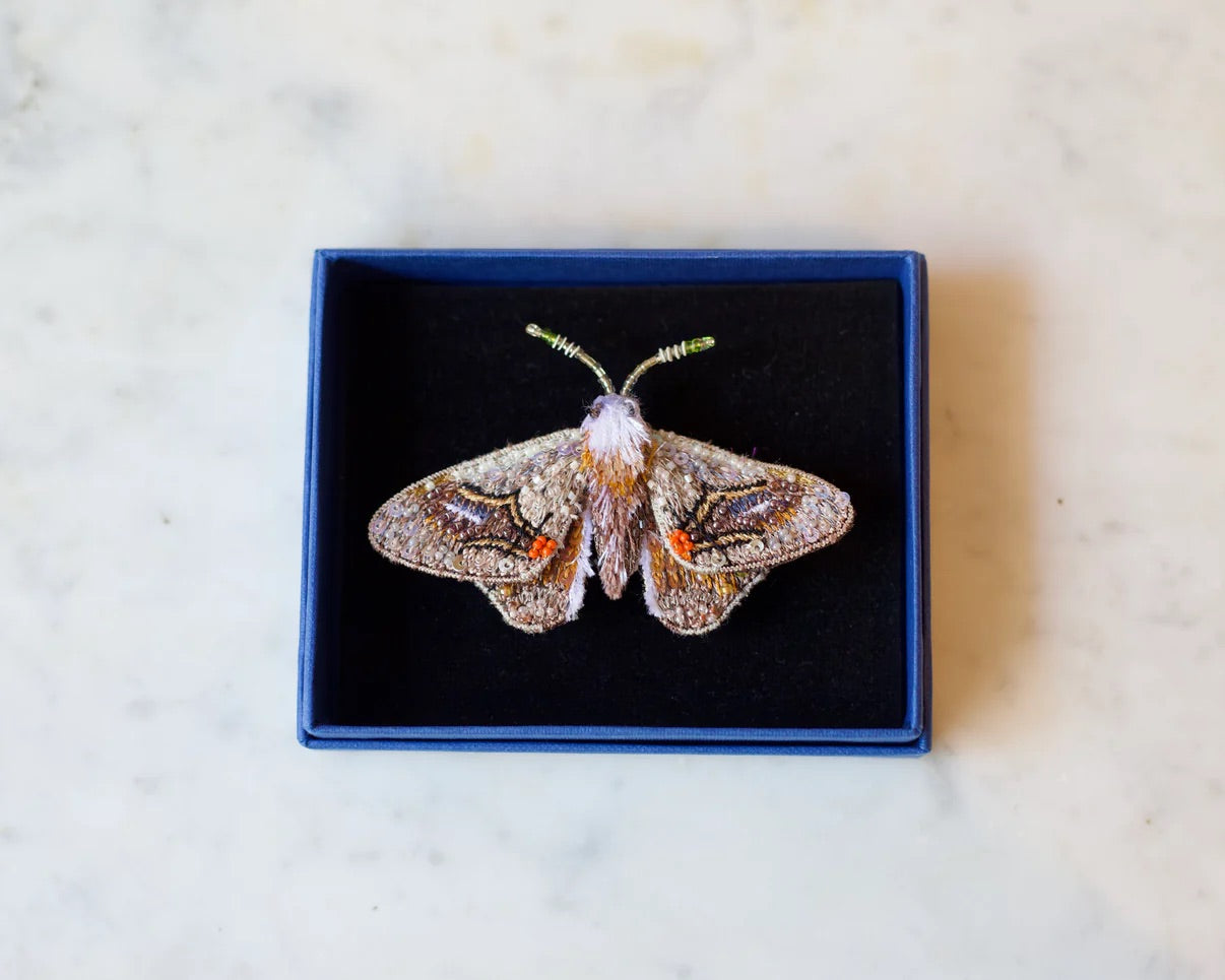 Drepanid Moth Brooch